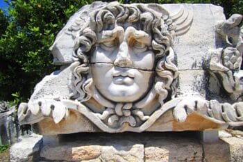 Medusa Head