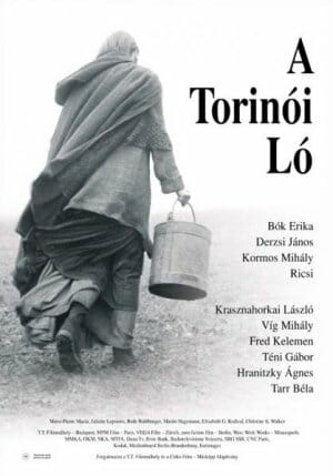 The Turin Horse poster / Wikipedia