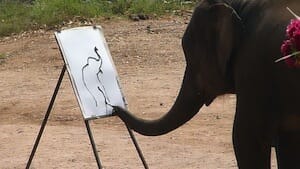 A trained elephant painting in Chiang Mai.