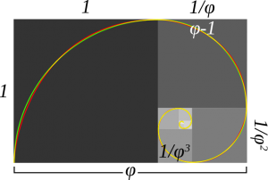 黄金長方形と黄金螺旋 / Wikipedia